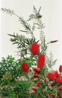 co045a23