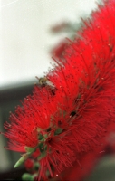 co045a24